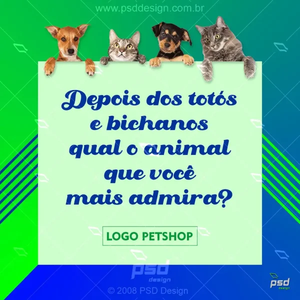 midia digital para petshop