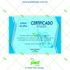 arte certificado jiujtsu