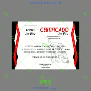arte certificado jiu-jitsu
