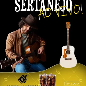 midia sertanejo ao vivo